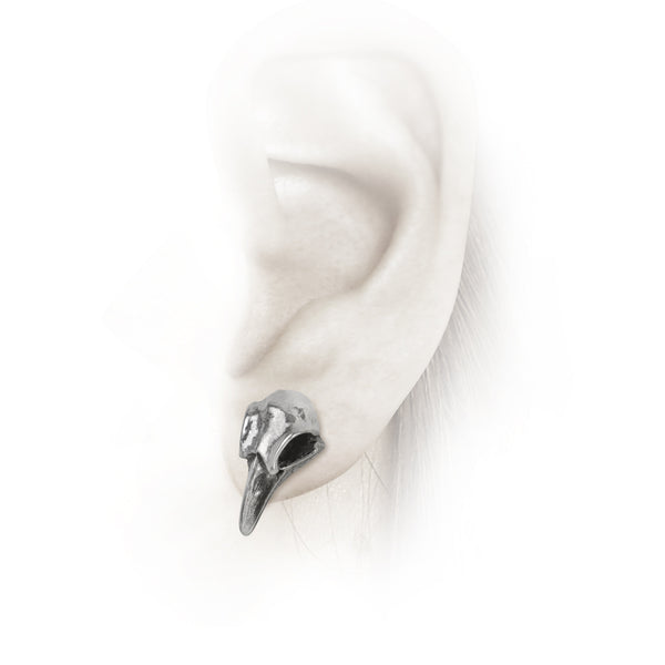 Raven Skull Earrings